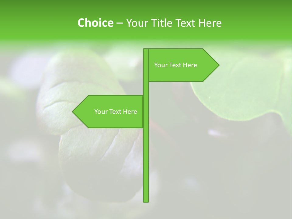 Macro Shot Of Micro Greens Micronutrients Micro Greens PowerPoint Template