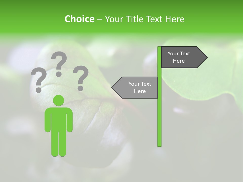 Macro Shot Of Micro Greens Micronutrients Micro Greens PowerPoint Template