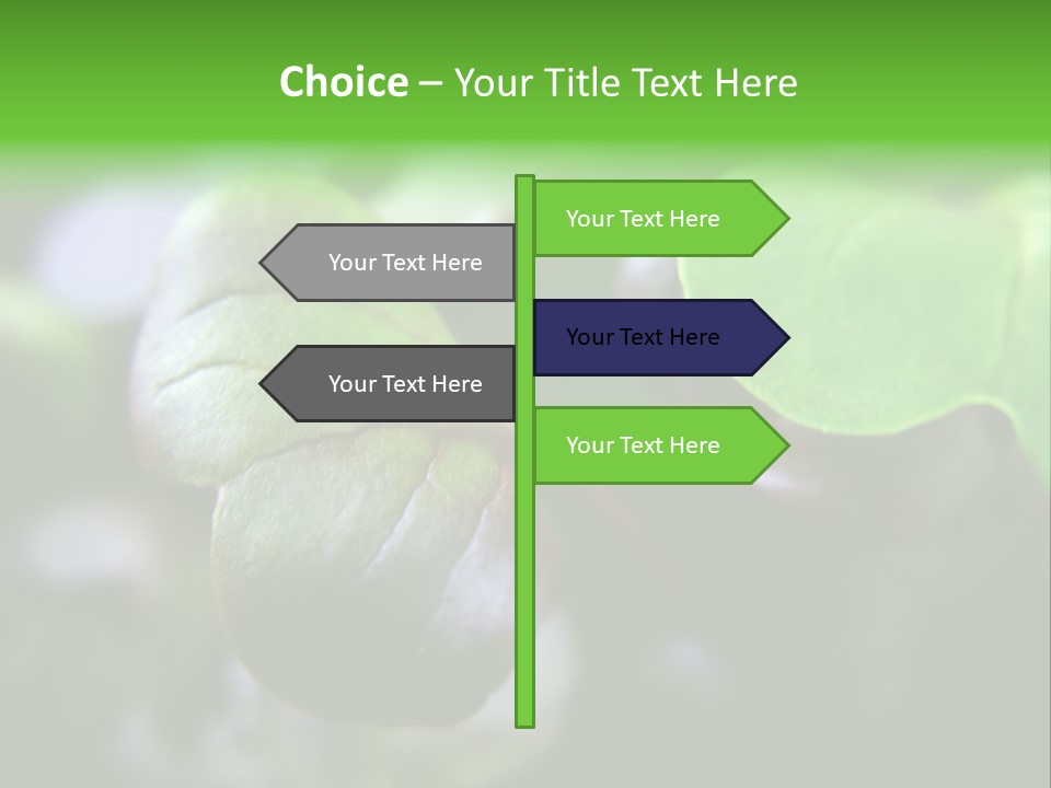 Macro Shot Of Micro Greens Micronutrients Micro Greens PowerPoint Template