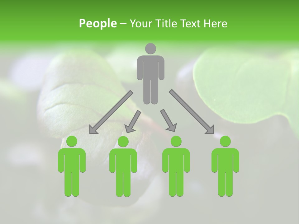 Macro Shot Of Micro Greens Micronutrients Micro Greens PowerPoint Template