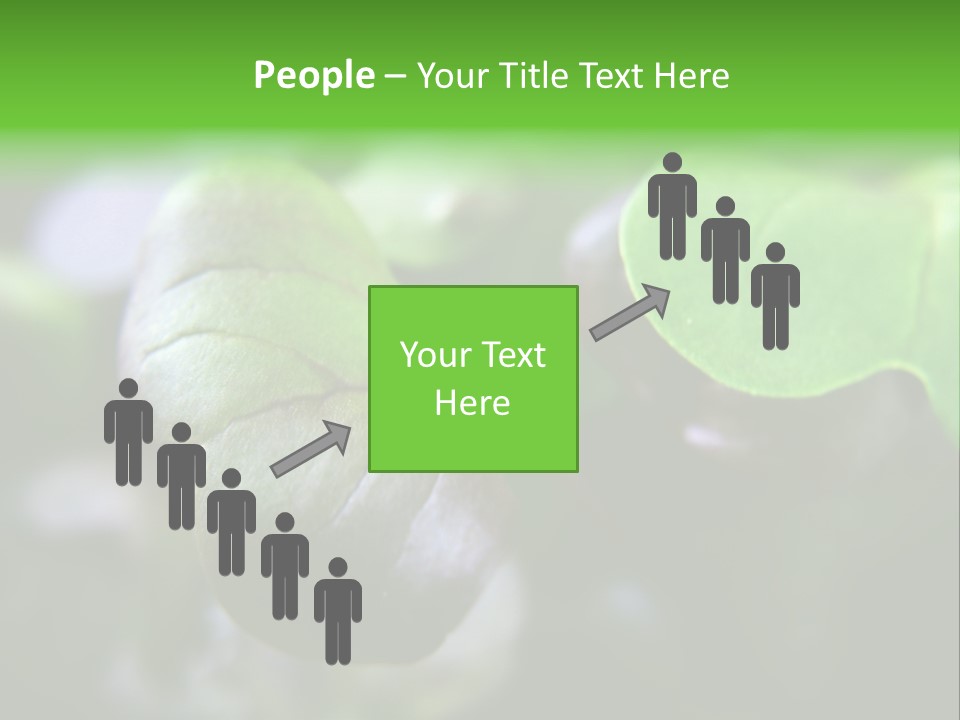 Macro Shot Of Micro Greens Micronutrients Micro Greens PowerPoint Template