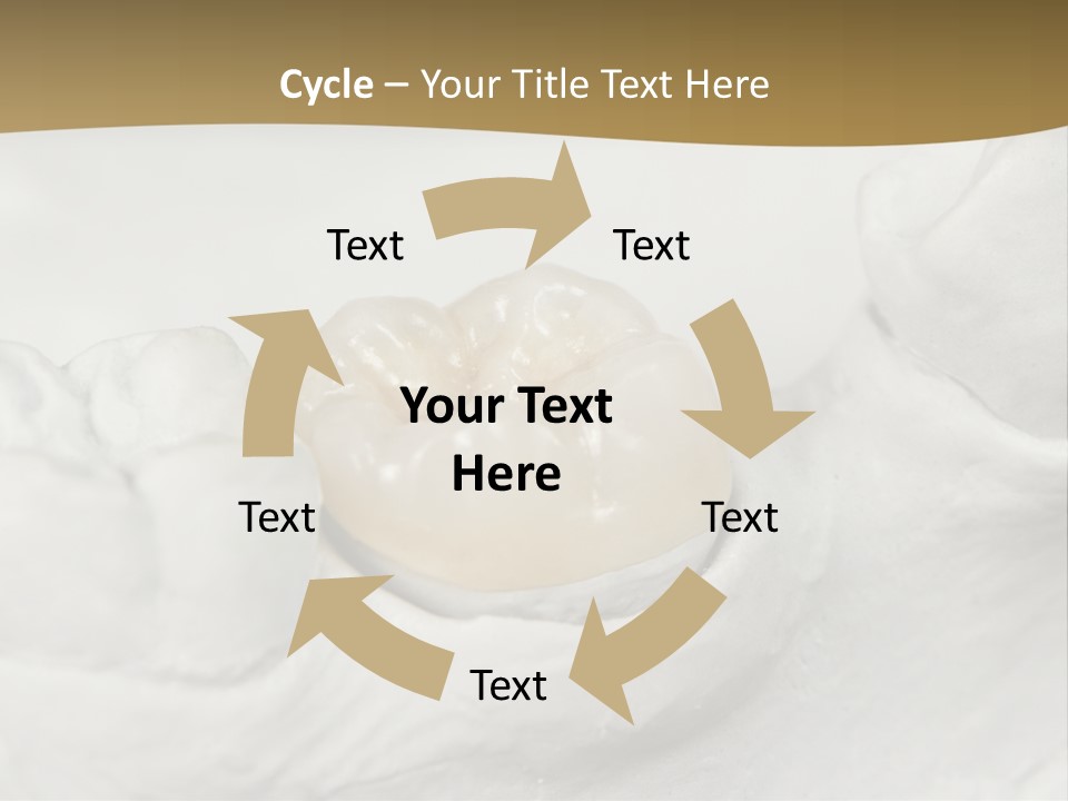 Prosthodontic Gypsum Crown PowerPoint Template