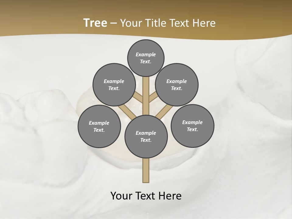 Prosthodontic Gypsum Crown PowerPoint Template
