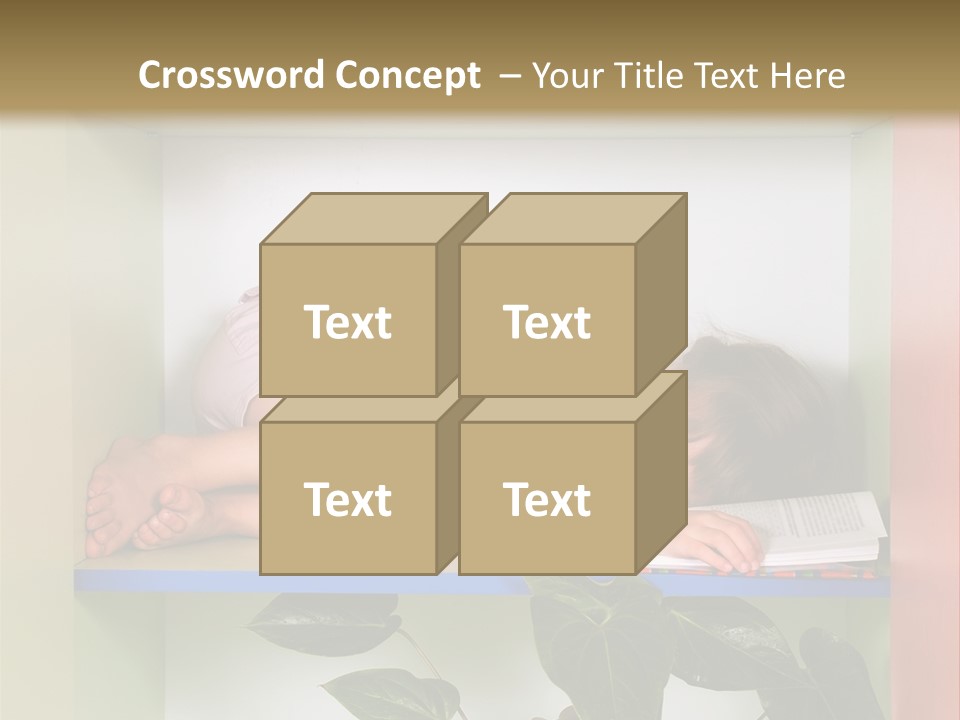 A Young Girl Is Sleeping On A Shelf With Books PowerPoint Template