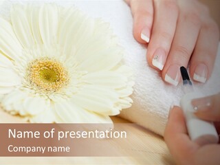 Color Image Bamboo Hygiene PowerPoint Template