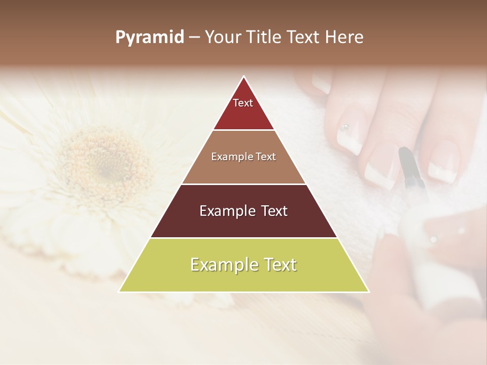 Color Image Bamboo Hygiene PowerPoint Template