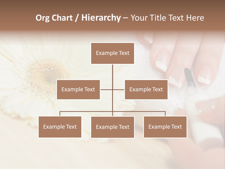 Color Image Bamboo Hygiene PowerPoint Template