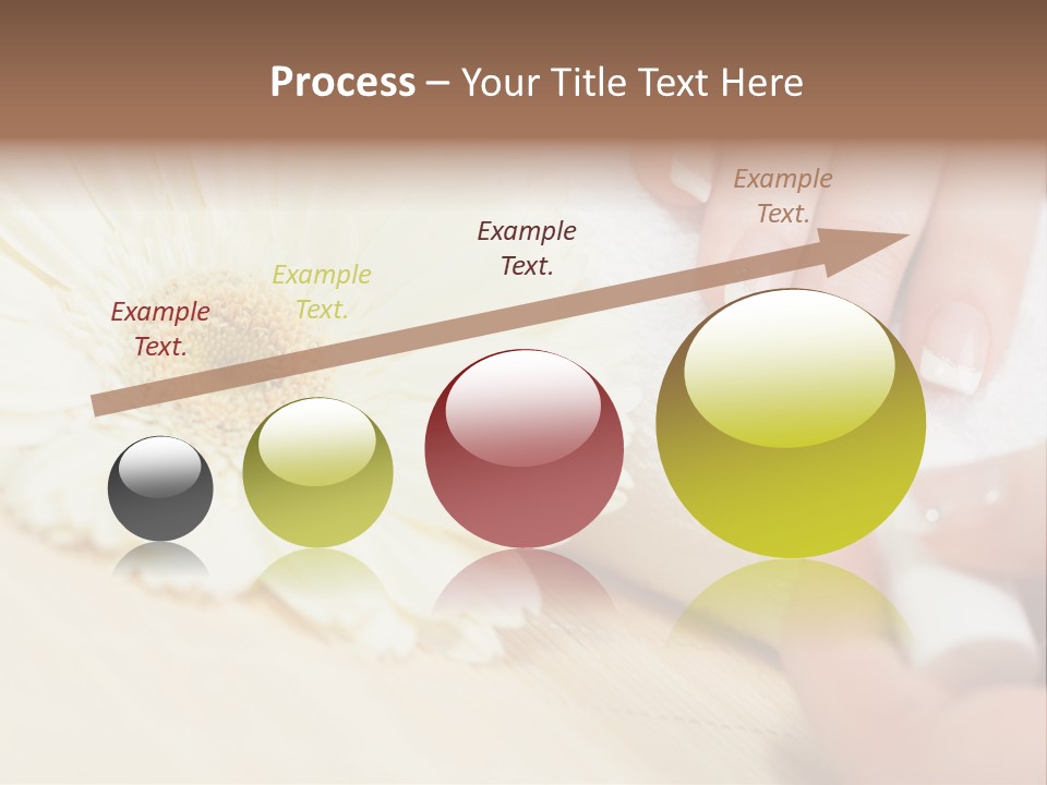 Color Image Bamboo Hygiene PowerPoint Template