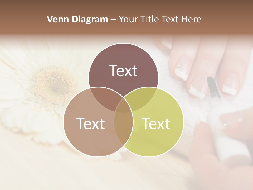 Color Image Bamboo Hygiene PowerPoint Template