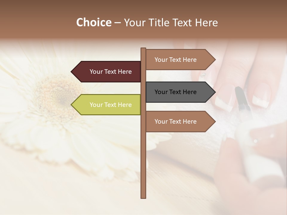 Color Image Bamboo Hygiene PowerPoint Template