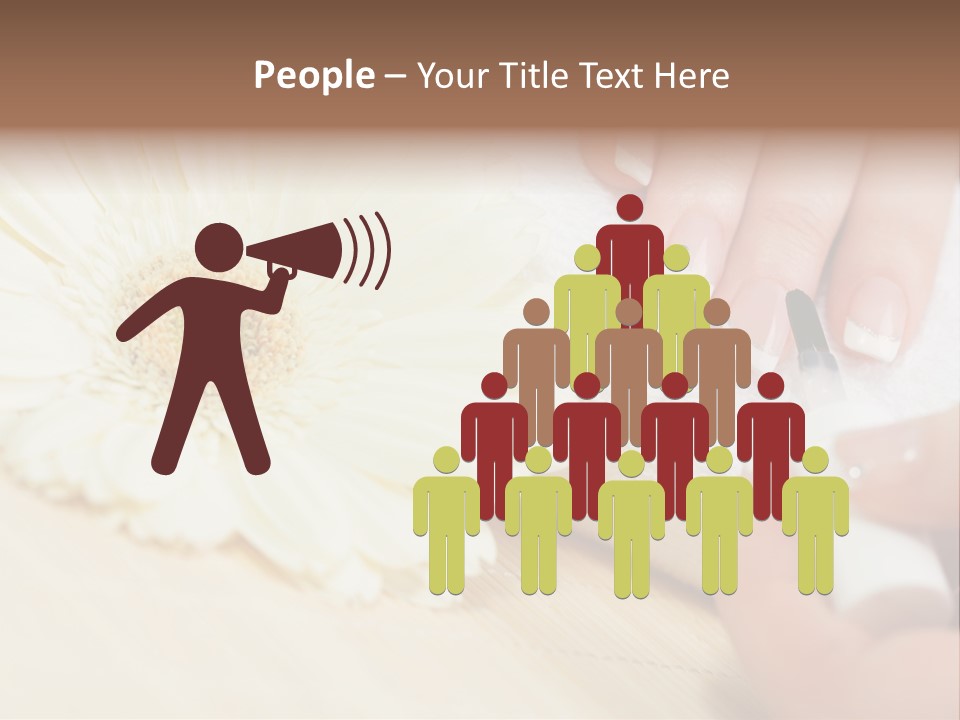 Color Image Bamboo Hygiene PowerPoint Template