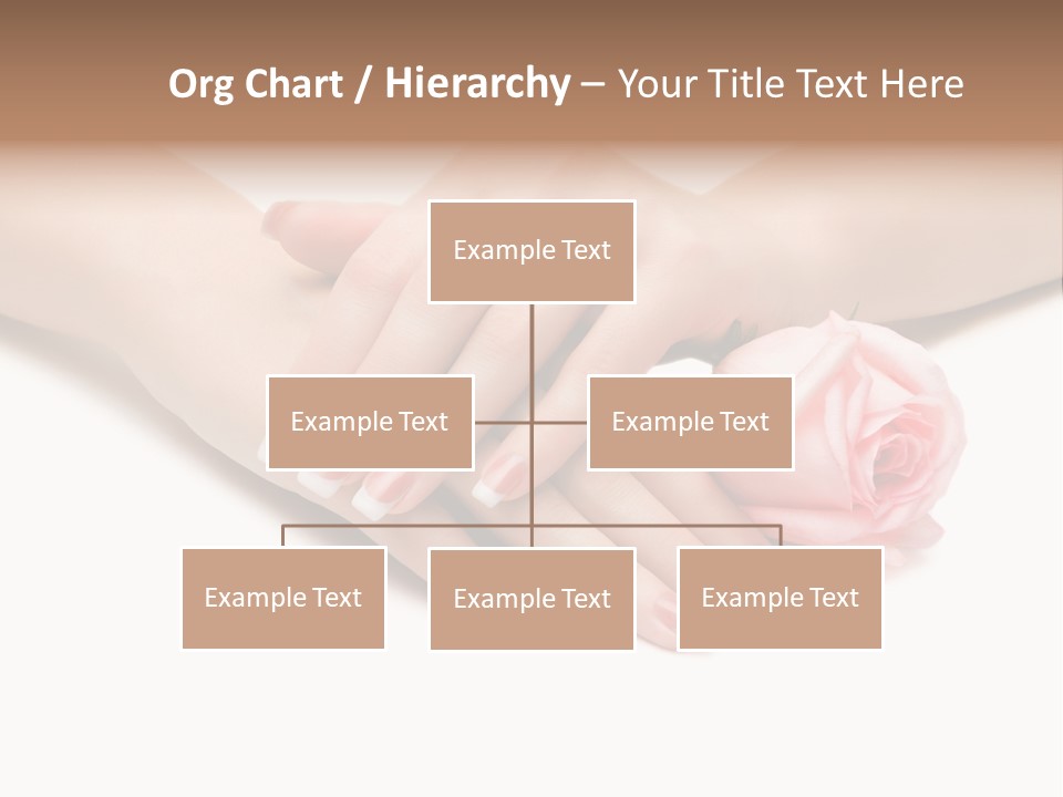 Human Background Pink PowerPoint Template