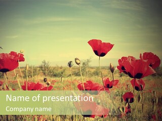 Blue View Bloom PowerPoint Template