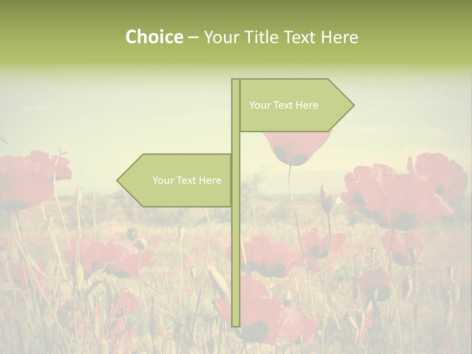 Blue View Bloom PowerPoint Template