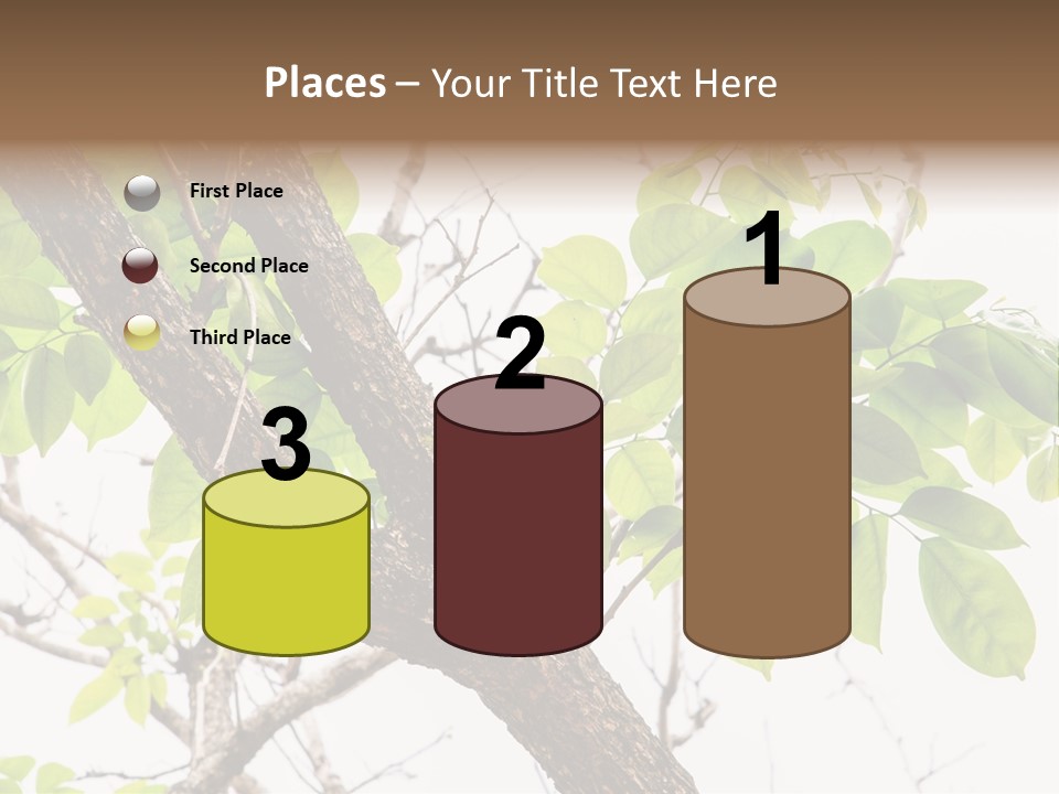 Cover Leaf Flora PowerPoint Template