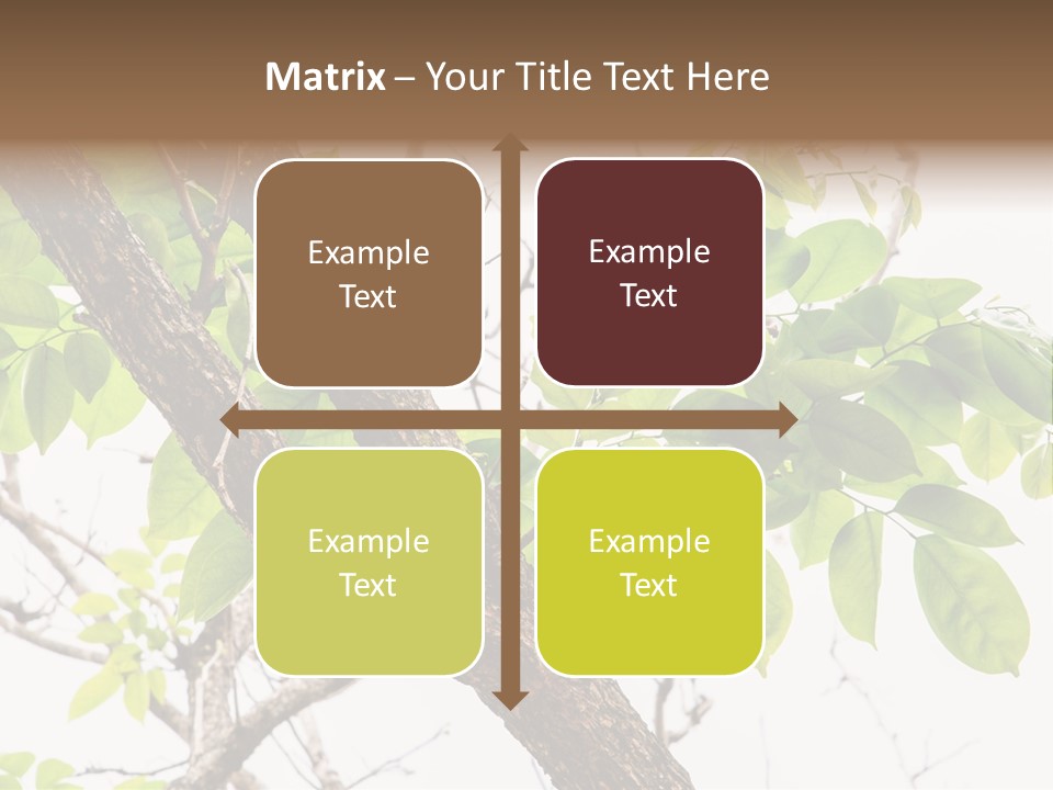 Cover Leaf Flora PowerPoint Template