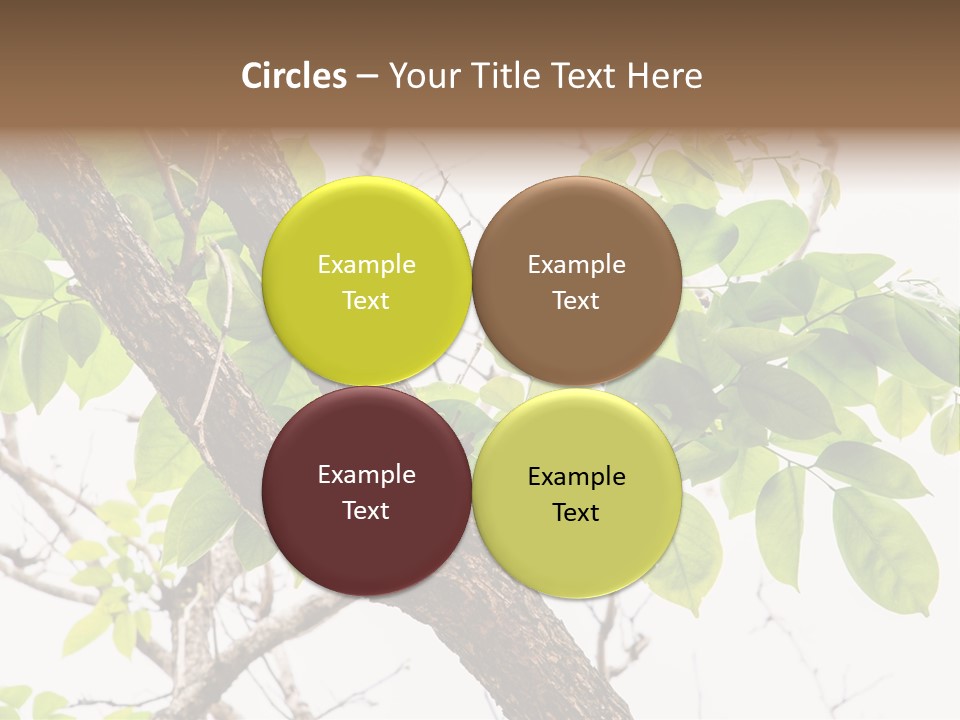 Cover Leaf Flora PowerPoint Template