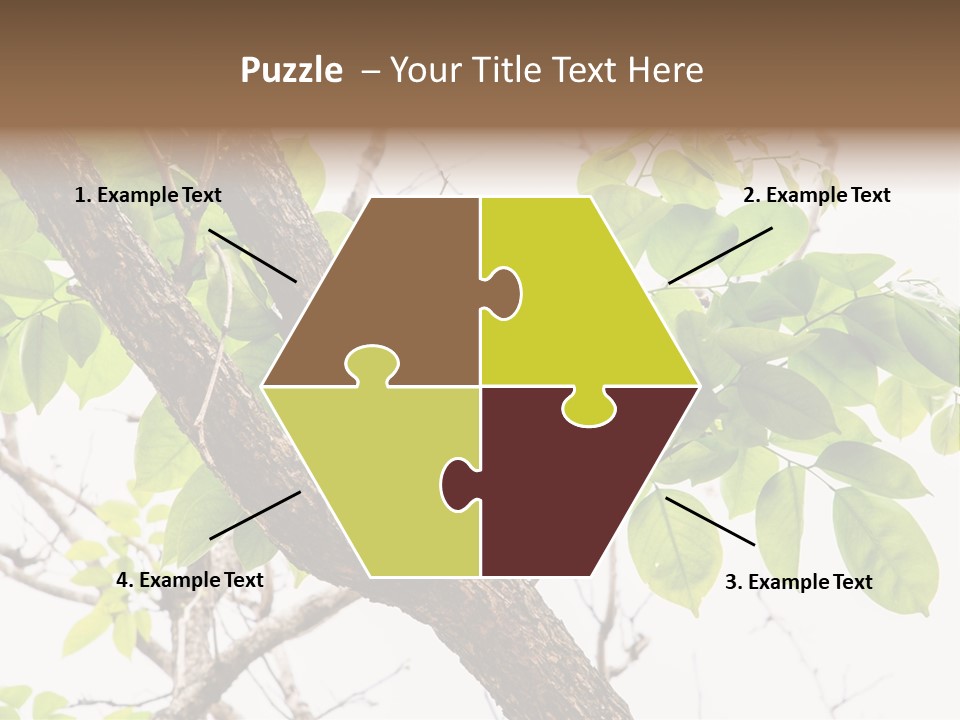 Cover Leaf Flora PowerPoint Template