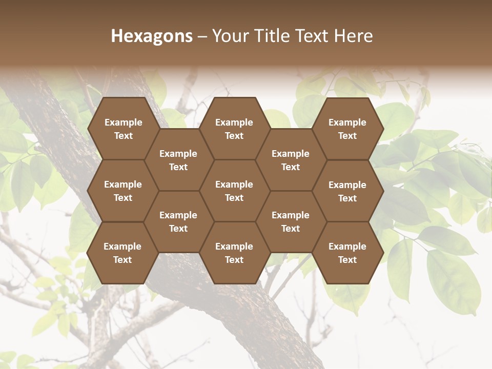 Cover Leaf Flora PowerPoint Template