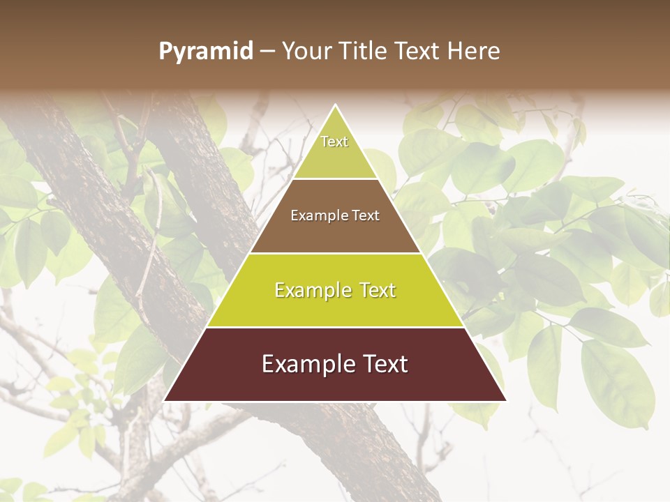 Cover Leaf Flora PowerPoint Template