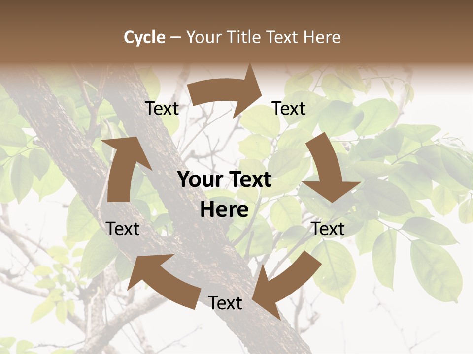 Cover Leaf Flora PowerPoint Template