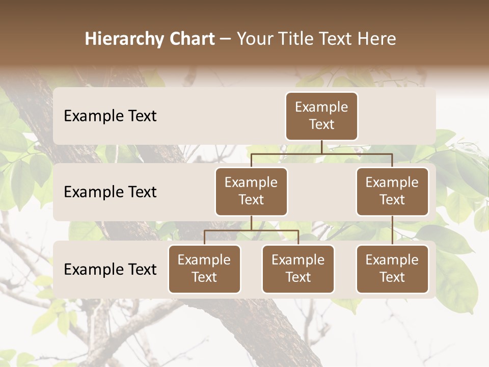 Cover Leaf Flora PowerPoint Template