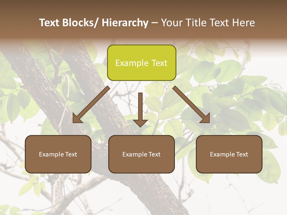 Cover Leaf Flora PowerPoint Template
