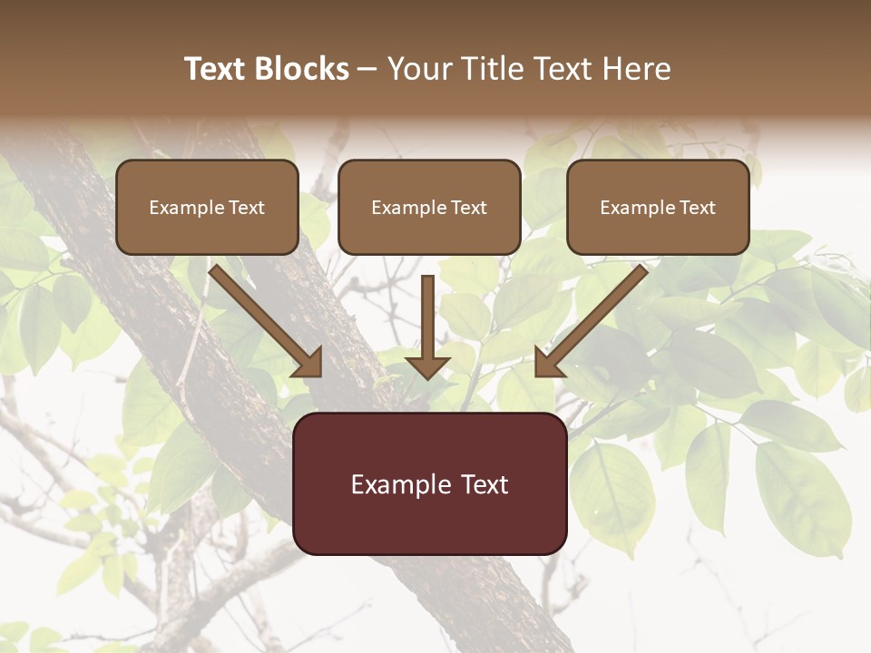 Cover Leaf Flora PowerPoint Template