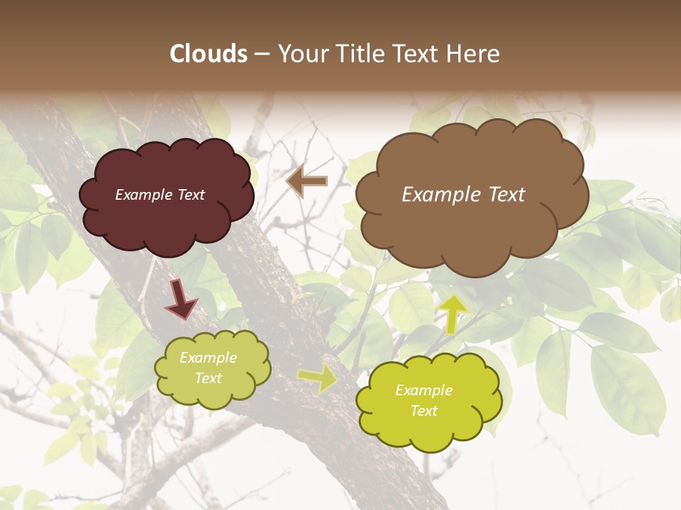 Cover Leaf Flora PowerPoint Template