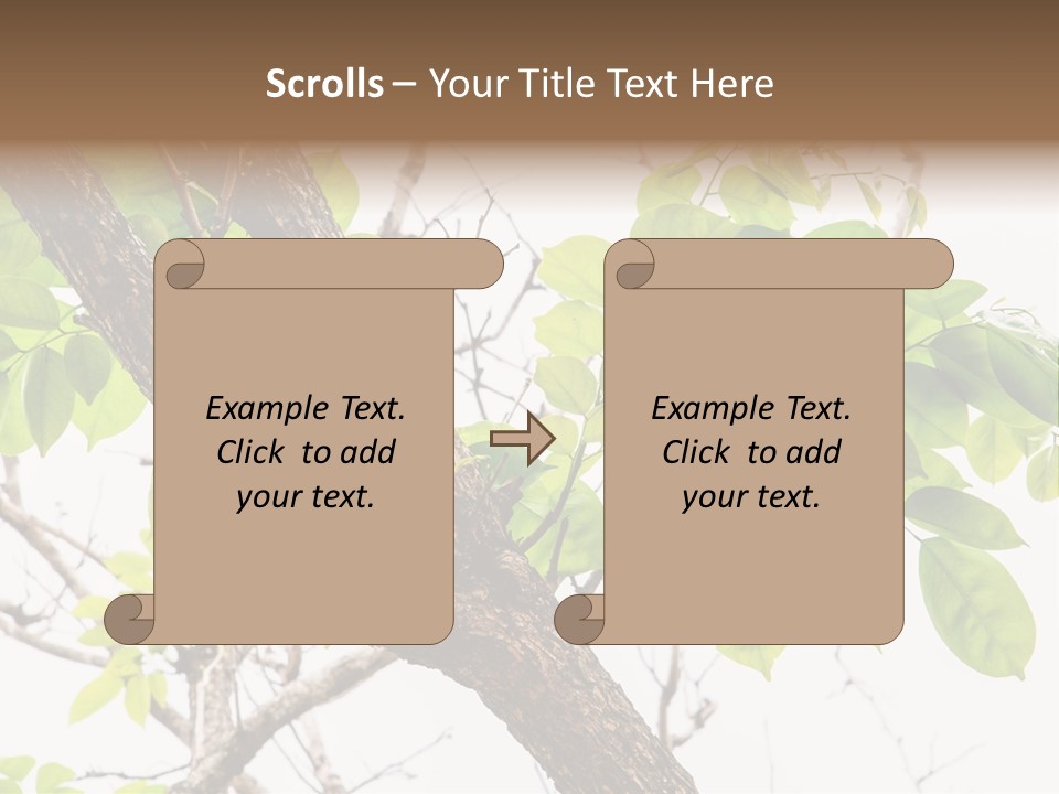 Cover Leaf Flora PowerPoint Template