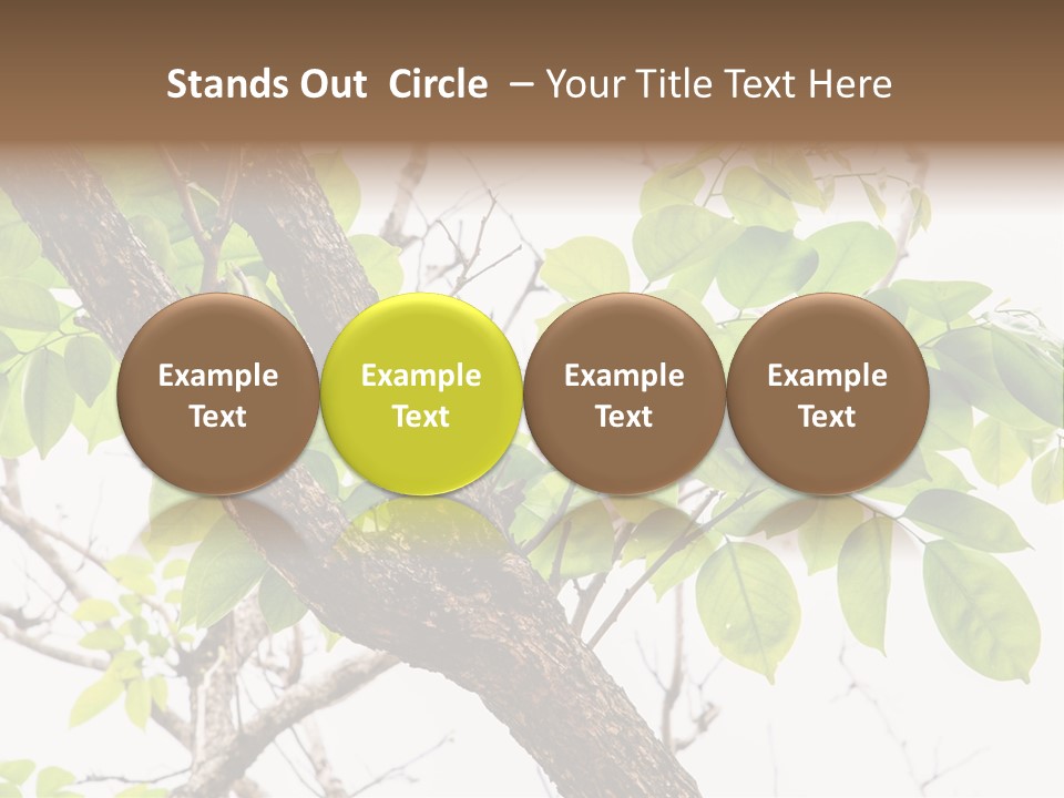 Cover Leaf Flora PowerPoint Template