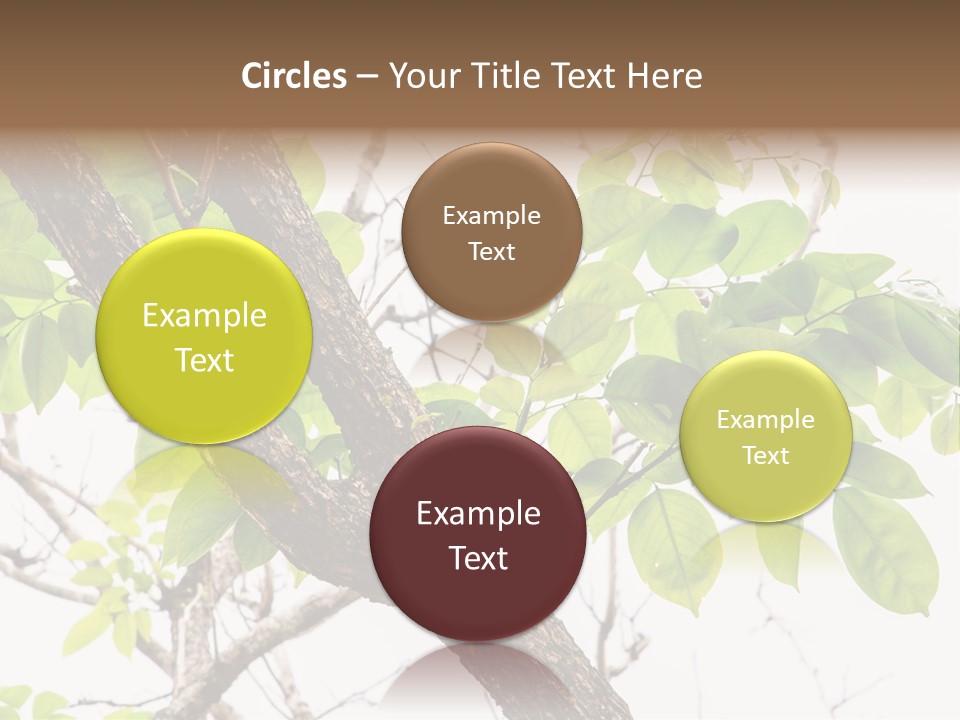 Cover Leaf Flora PowerPoint Template