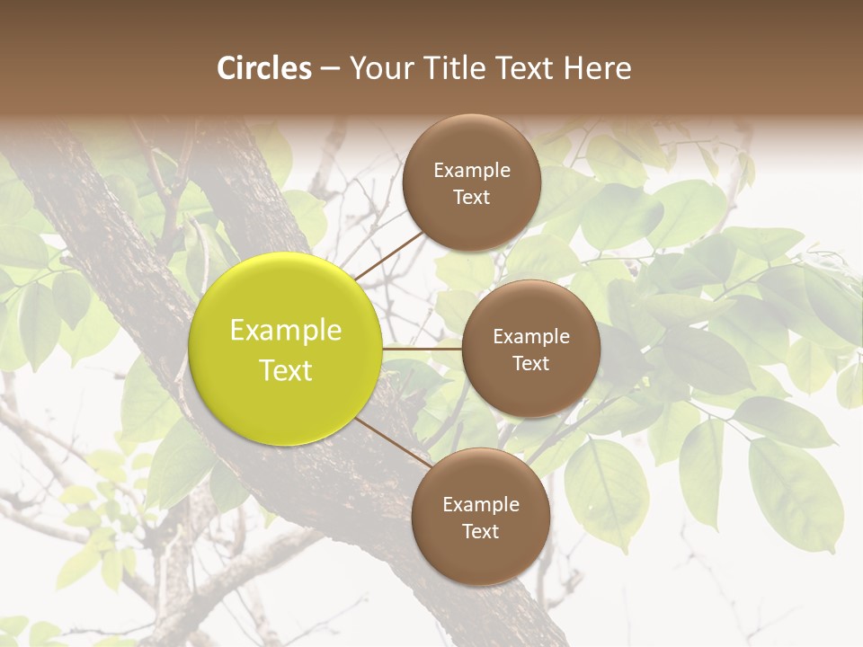 Cover Leaf Flora PowerPoint Template