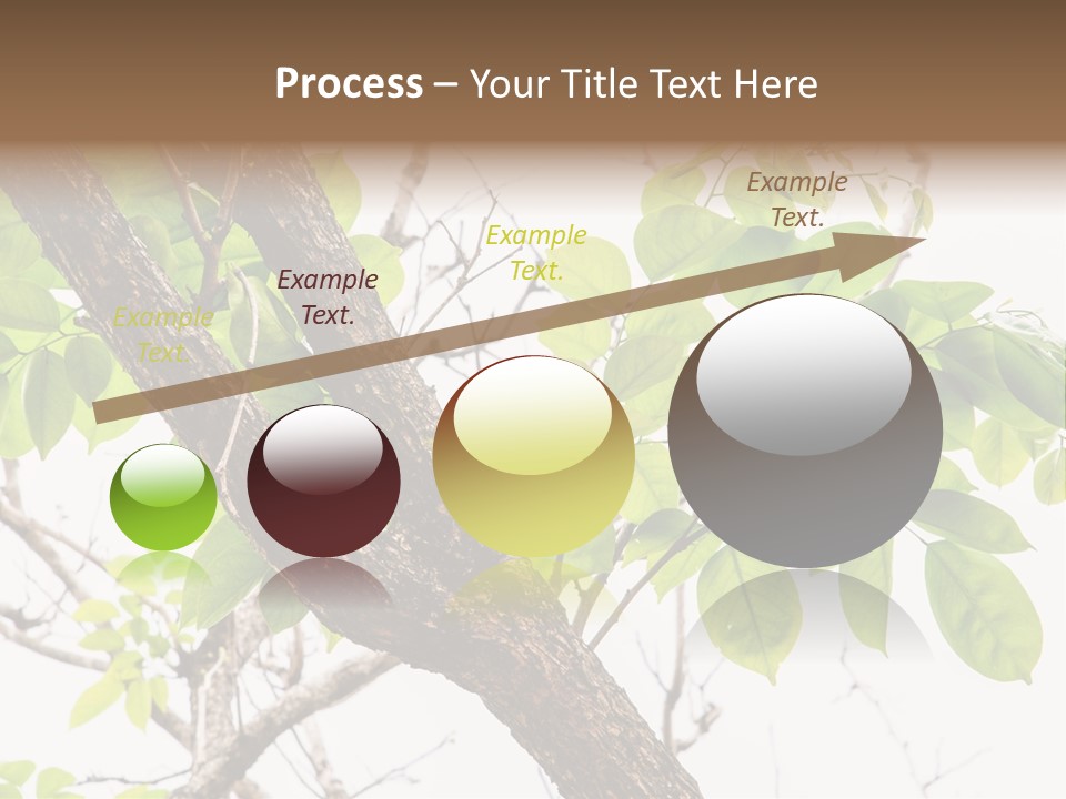 Cover Leaf Flora PowerPoint Template