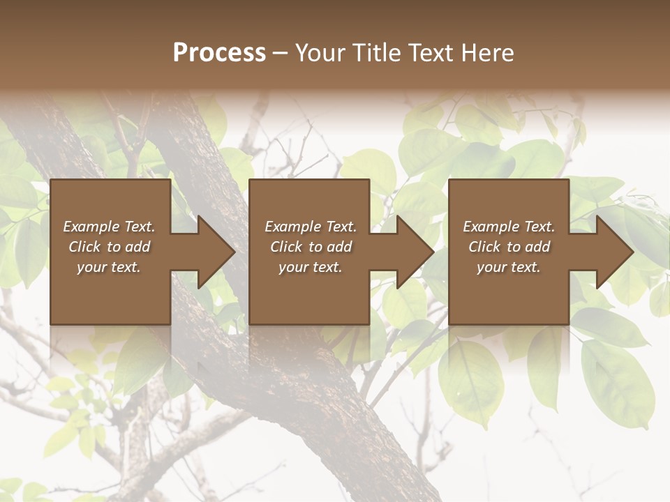 Cover Leaf Flora PowerPoint Template