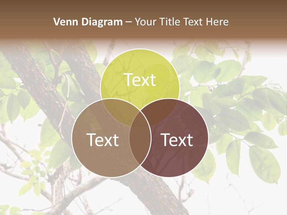 Cover Leaf Flora PowerPoint Template