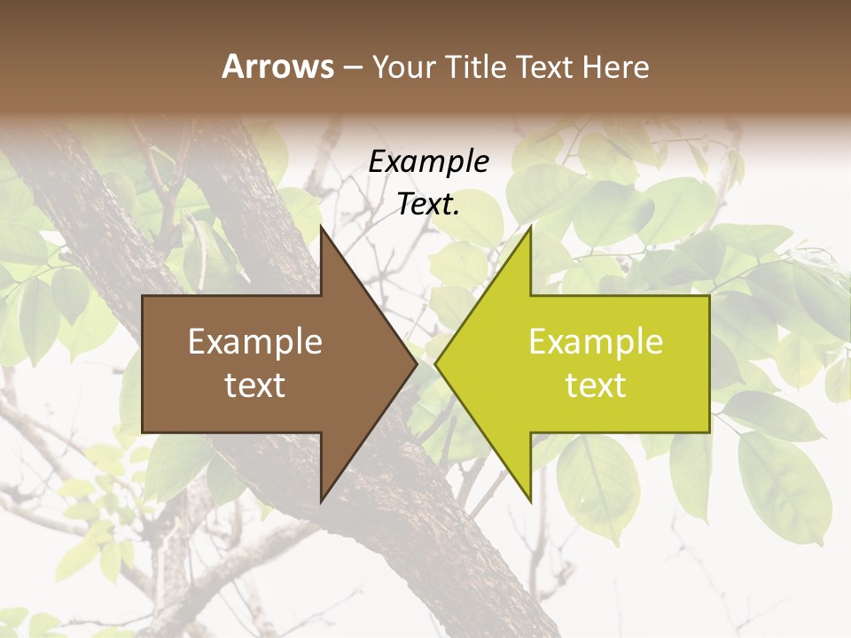 Cover Leaf Flora PowerPoint Template