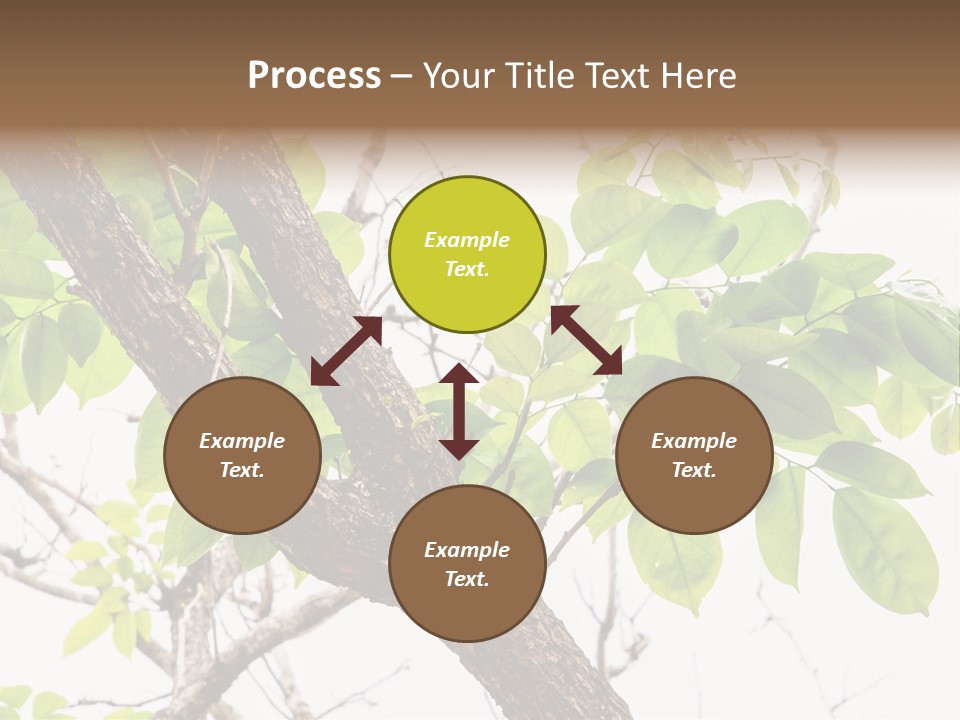 Cover Leaf Flora PowerPoint Template