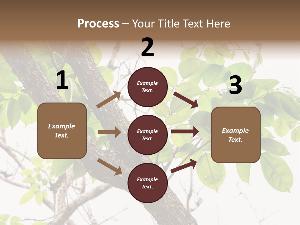 Cover Leaf Flora PowerPoint Template