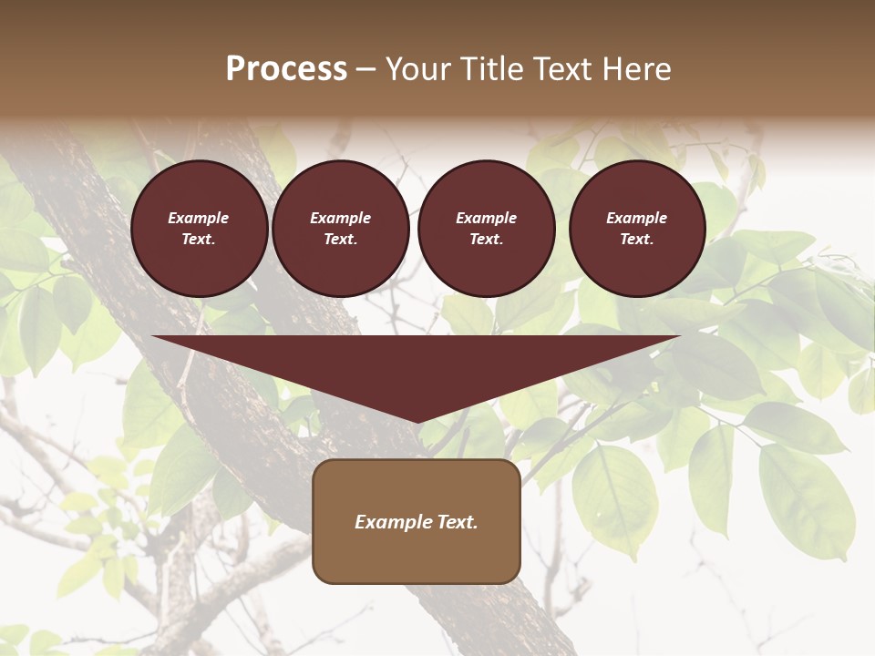 Cover Leaf Flora PowerPoint Template