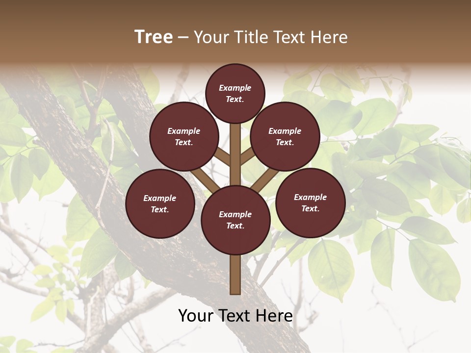 Cover Leaf Flora PowerPoint Template