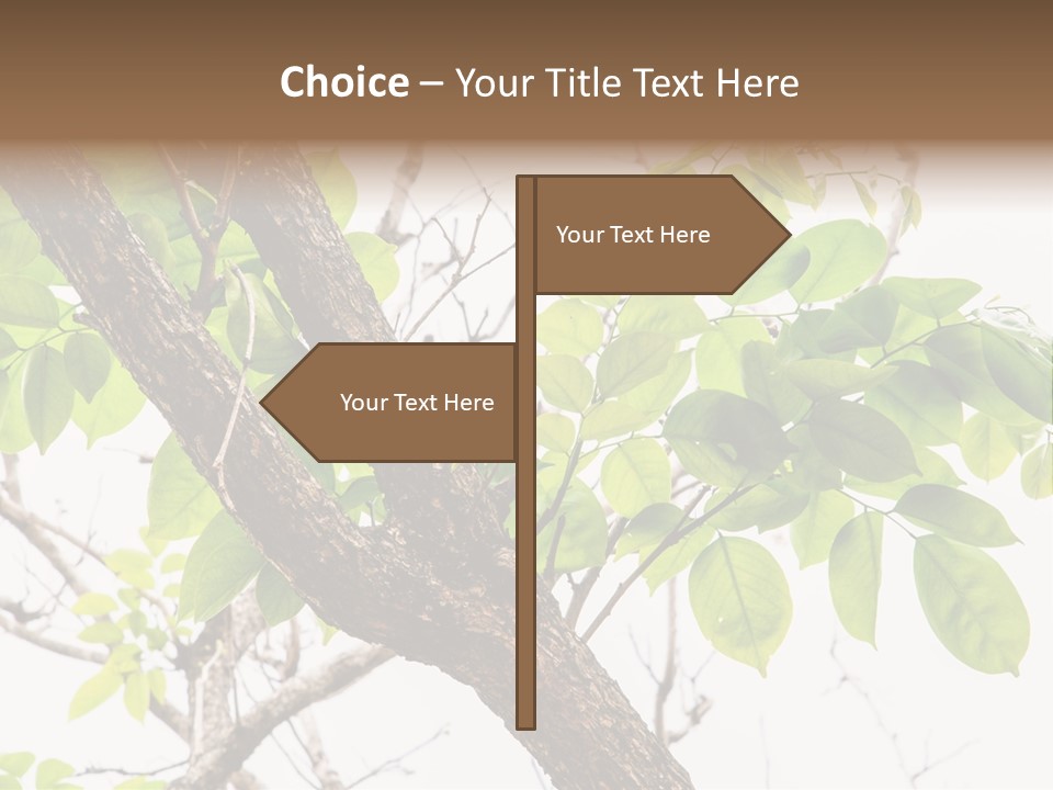 Cover Leaf Flora PowerPoint Template