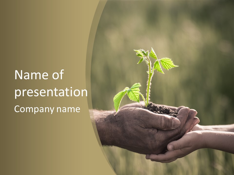 Holding Man Symbol PowerPoint Template
