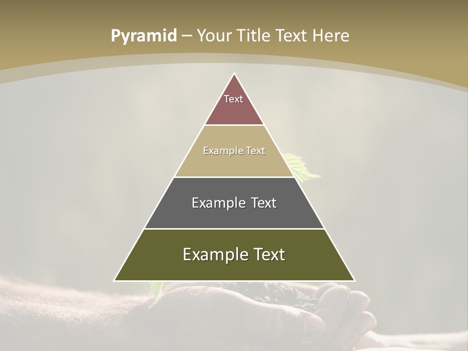 Holding Man Symbol PowerPoint Template