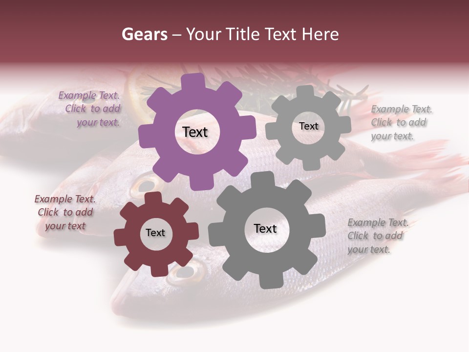 Healthy Single Bream PowerPoint Template