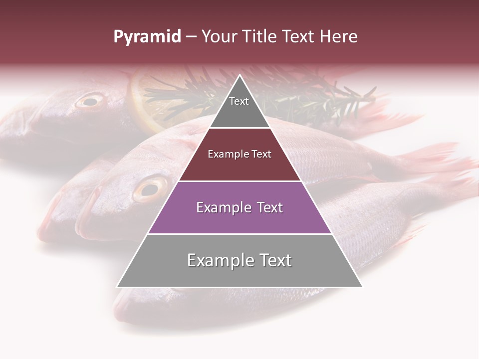 Healthy Single Bream PowerPoint Template