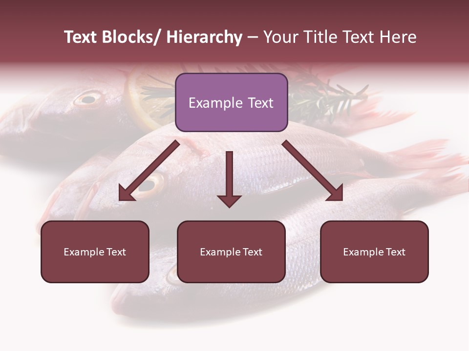 Healthy Single Bream PowerPoint Template