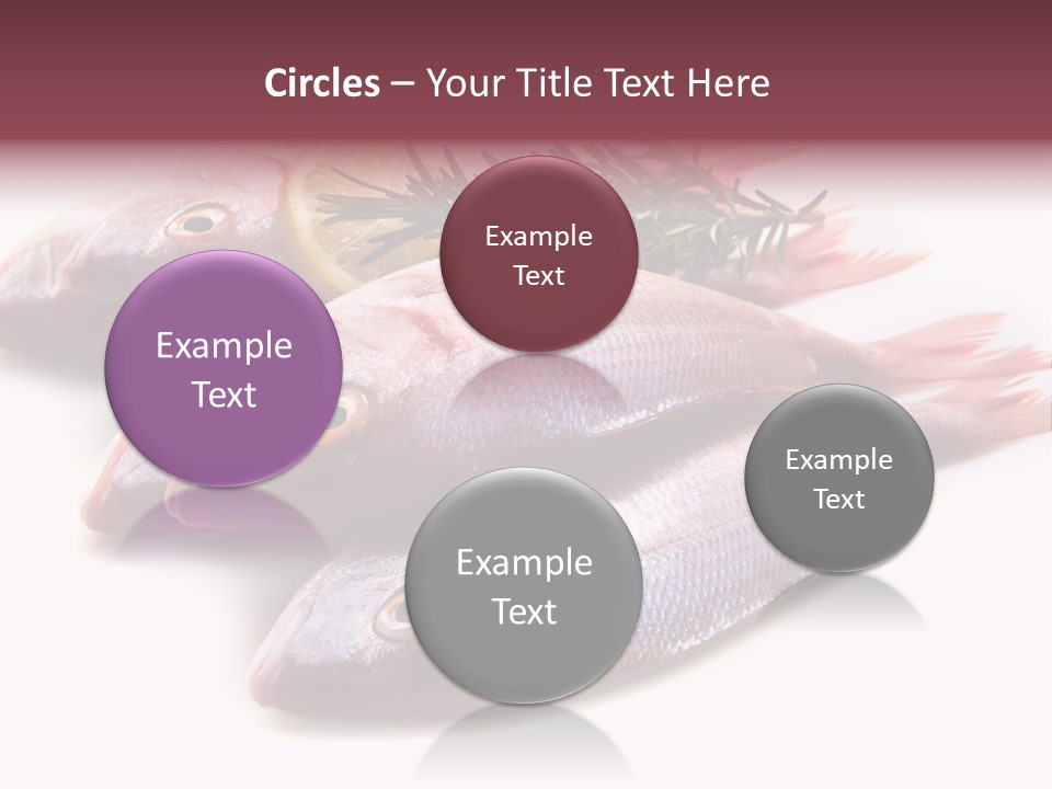 Healthy Single Bream PowerPoint Template