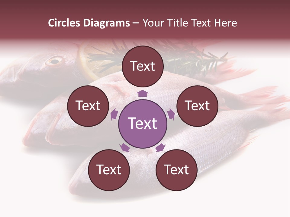 Healthy Single Bream PowerPoint Template