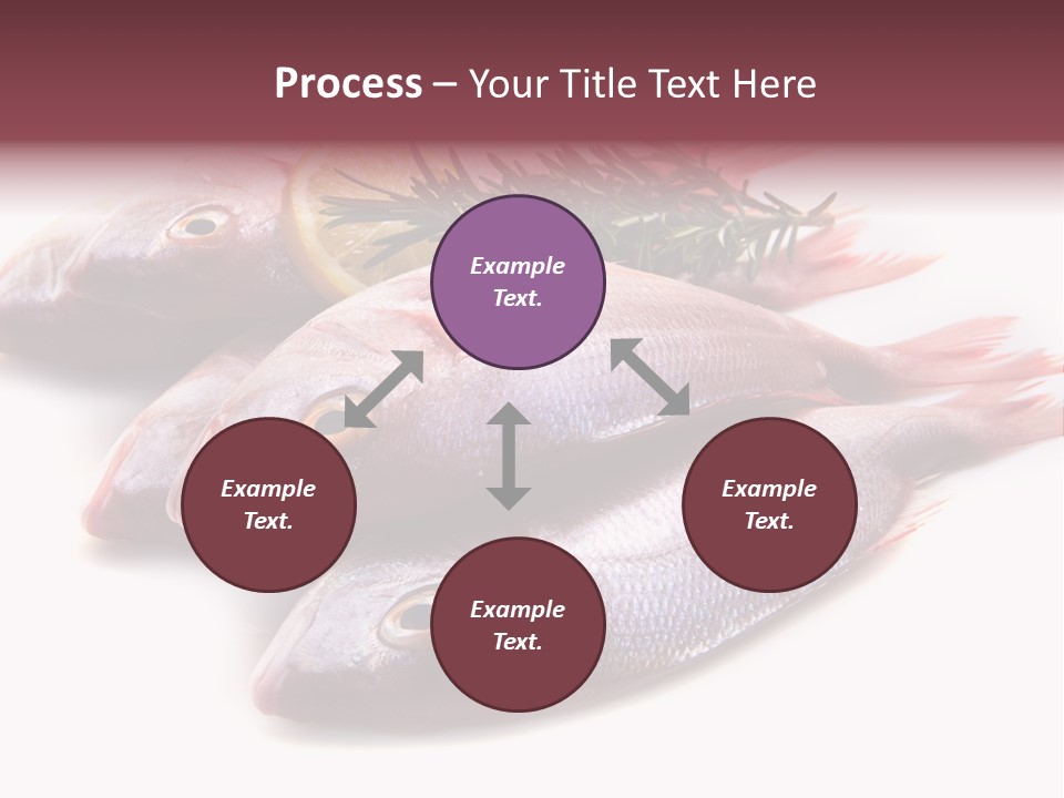 Healthy Single Bream PowerPoint Template